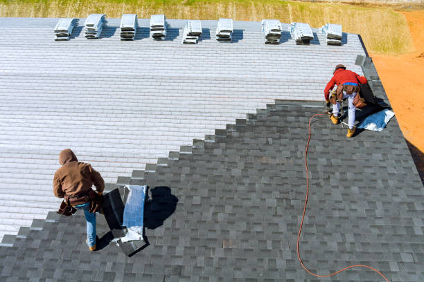 Best Metal Roofing Contractor  in Cadiz, KY